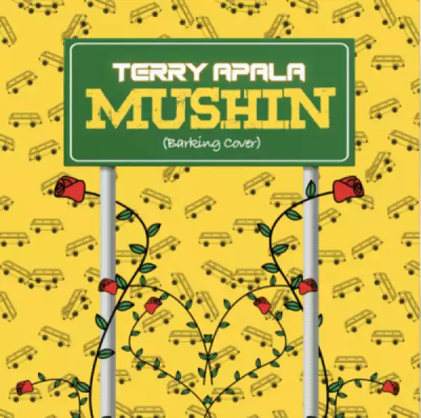Terry Apala - “Mushin”